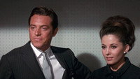 Обои к фильму «Долина кукол (1967)» — (14 из 40)