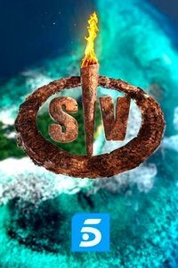 Season 17 Poster