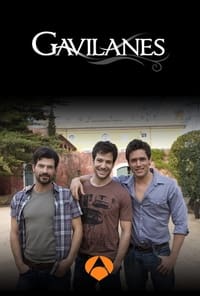 Gavilanes - 2010