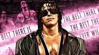 «The Bret Hart Story: The Best There Is, the Best There Was, the Best There Ever Will Be (2005)» — обои к фильму #2