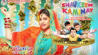«Shaukeen Kaminay (2016)» — обои к фильму #3