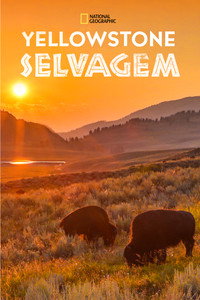Yellowstone Selvagem S01E02