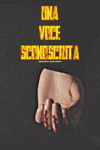 An Unfamiliar Voice (2026) subtitle poster
