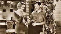 «Die Sehnsucht jeder Frau (1930)» — обои к фильму #1