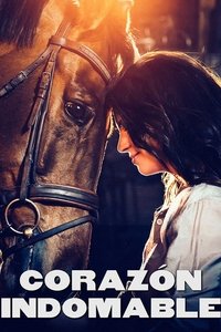 Poster de Aika jonka sain