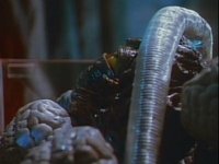 Ver War of the Worlds Temporada 1 Capitulo 8 Online Gratis HD Poster VER War of the Worlds Temporada 1 Capitulo 8 Online Gratis HD