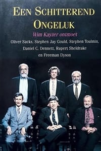 Een schitterend ongeluk (1993)