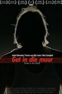 Gat In Die Muur (2017)