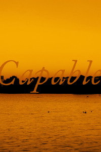 Capable : Director's Cut