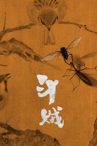 斗贼