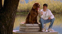 Обои к фильму «Khushi (2001)» — (12 из 29)