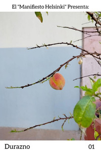 Imagem do Filme Durazno