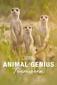 Animal Genius - Season 1