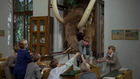 «Кржечек в ночной рубашке (1988)» — обои к сериалу #1