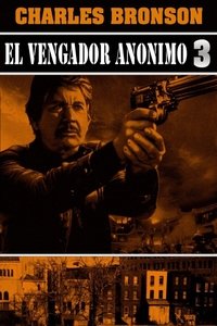 Poster de El Vengador Anónimo 3
