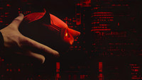 Обои к сериалу «Сорвиголова (2015-2018)» — (11 из 199)