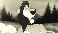 «Кроткий лев (1952)» — обои к мультфильму #2