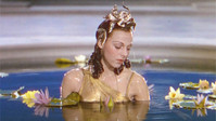 «Безумства Голдвина (1938)» — обои к фильму #3