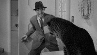 Обои к фильму «Воспитание Крошки (1938)» — (35 из 85)