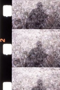 Imagem do Filme Jeux d'Ombres et de Neige dans une Forêt