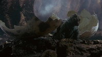 Gappa : le Descendant de Godzilla