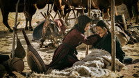 «Assassin on the String (2019)» — обои к фильму #1