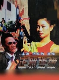 正邪双雄 (1996)