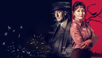 «Сороки-убийцы (2022)» — обои к сериалу #2