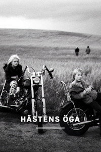 Hästens öga
