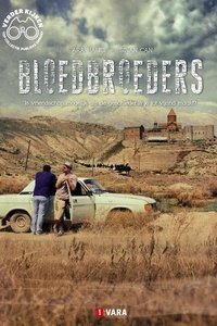 copertina serie tv Bloedbroeders 2015