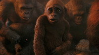 Godzilla x Kong : Le Nouvel Empire