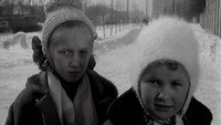 «Дай лапу, Друг (1967)» — обои к фильму #1