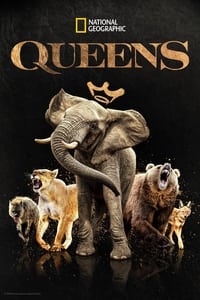 copertina serie tv Queens%3A+le+regine+della+natura 2024
