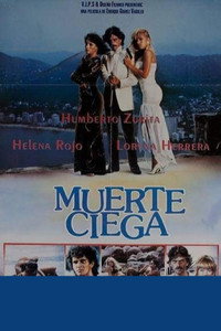 Постер к фильму Акапулько (1991)