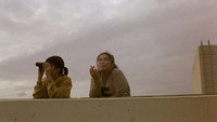 «Лающие собаки никогда не кусают (2000)» — обои к фильму #1