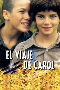 Poster de El viaje de Carol
