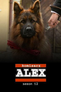 Temporada 12