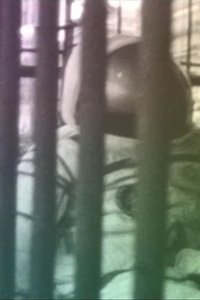 Imagem do Filme On The Good Earth