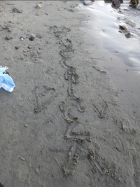 La psicologia del piacere