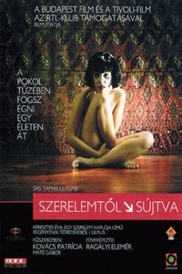 Szerelemtől sújtva (2003)