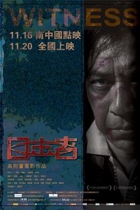 目击者 (2012)