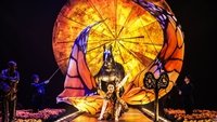 Cirque du Soleil: Luzia