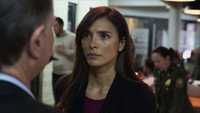 «Секретный закон (2018)» — обои к сериалу #2