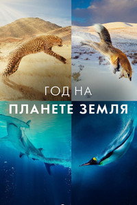 Постер сериала «Год на планете Земля (2022)» — (5 из 8)