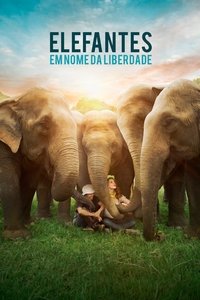 Imagem do Filme Elefantes: Em Nome da Liberdade