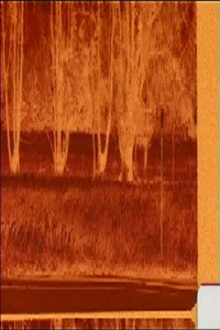 Fields Of Grain (1984) poster