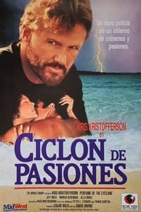 Poster de Night of the Cyclone