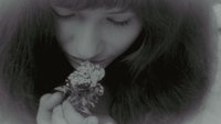 Valerie and Her Week of Wonders