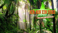 «Ich bin ein Star: Die Stunde danach (2018)» — обои к сериалу #1