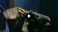 «Ритуал смерти (1990)» — обои к фильму #1